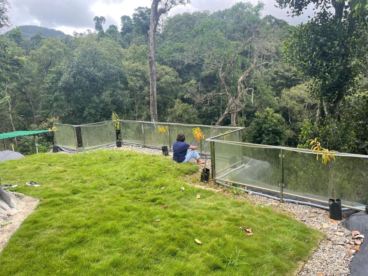 Rai'S Coorg Cave House Villa Madikeri Luaran gambar