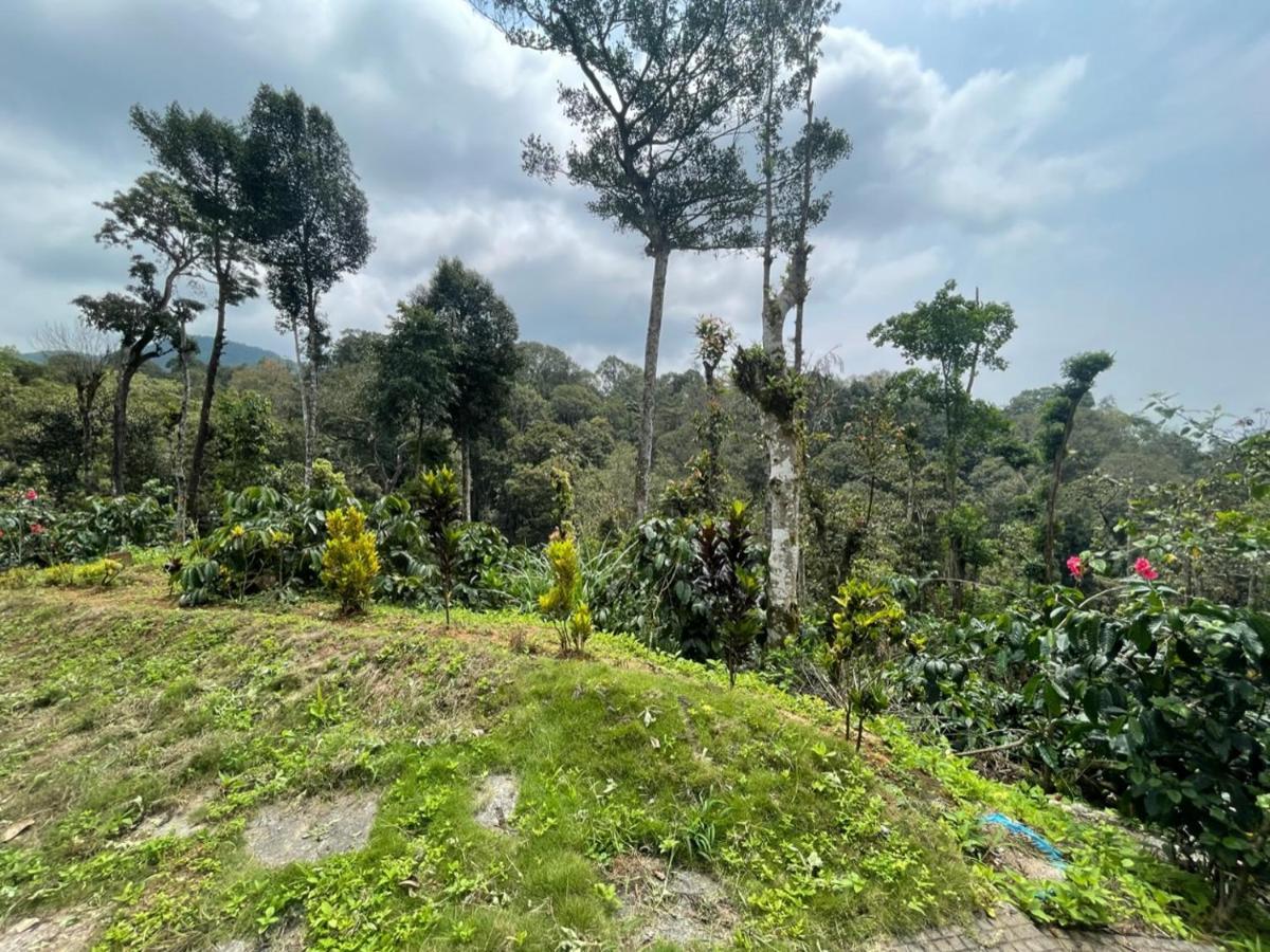 Rai'S Coorg Cave House Villa Madikeri Luaran gambar